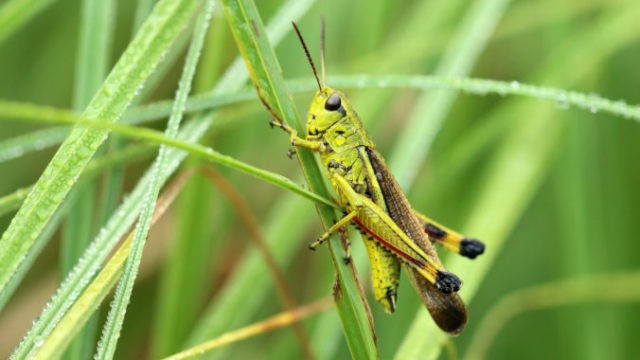 434491_gettyimages 636315398 676x451.jpg