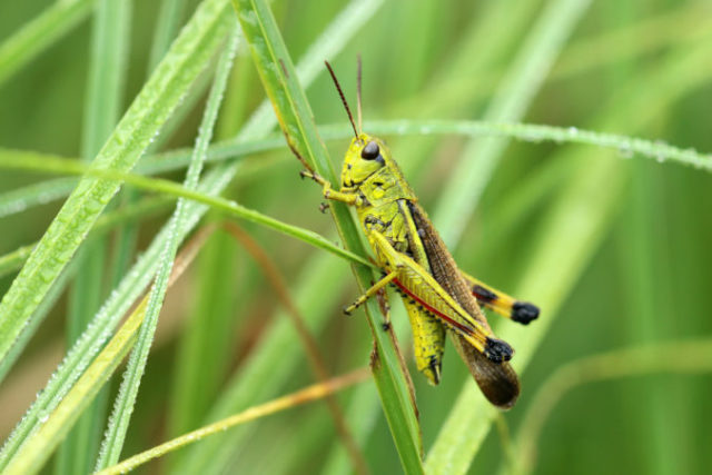 434491_gettyimages 636315398 676x451.jpg