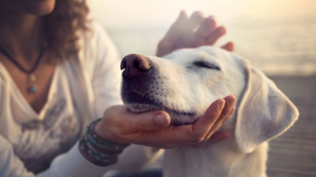 434755_thinkstockphotos 532262202 676x451.jpg