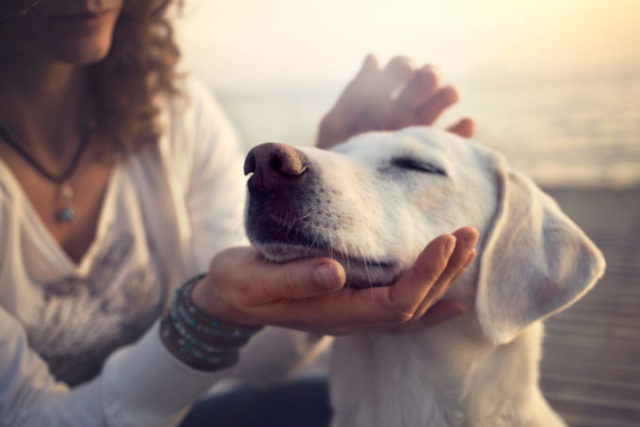 434755_thinkstockphotos 532262202 676x451.jpg