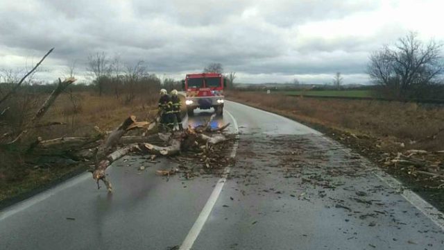 434780_84486256_2224011184380753_2785314024059830272_o 676x507.jpg