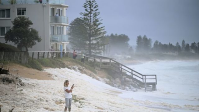 434999_dazd sydney 676x451.jpg