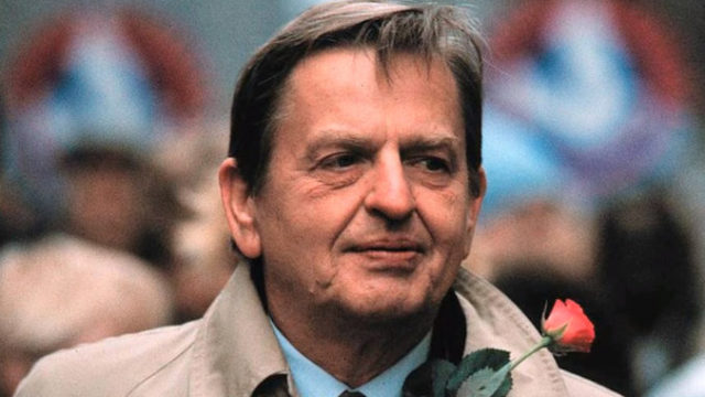 435564_palme 676x414.jpg