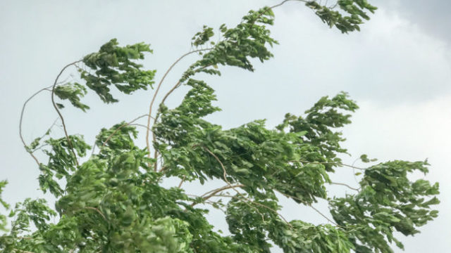 436040_thinkstockphotos 685759600 676x507.jpg