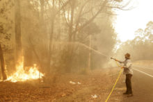 436498_australia_wildfires_18961 897c327490eb4f7e827f3fc6098f7b75 676x451.jpg