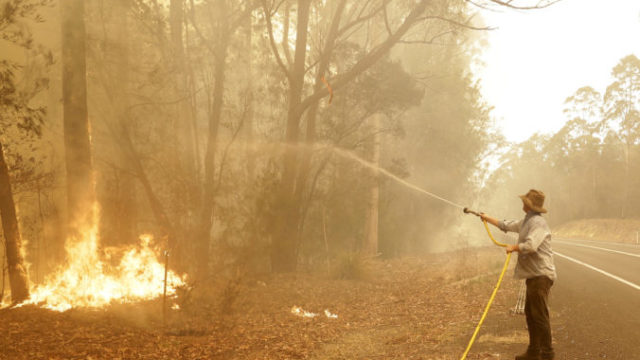 436498_australia_wildfires_18961 897c327490eb4f7e827f3fc6098f7b75 676x451.jpg