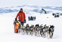 437592_iditarod_sled_dog_race_16655 40fe3ceb9fbc4e66abab0e60168f9703 676x451.jpg