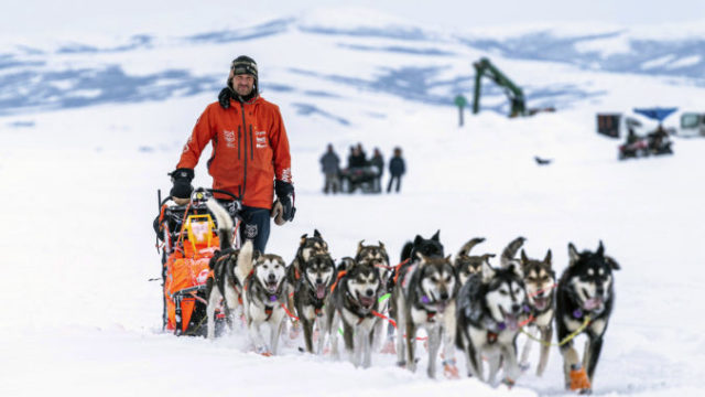 437592_iditarod_sled_dog_race_16655 40fe3ceb9fbc4e66abab0e60168f9703 676x451.jpg