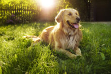 438294_gettyimages 506756303 676x451.jpg