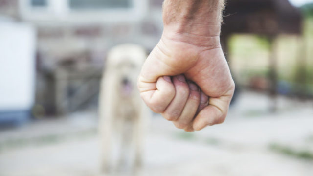 439326_gettyimages 1170528989 676x451.jpg