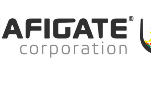 439528_logo naficorp color noback 676x254.jpg