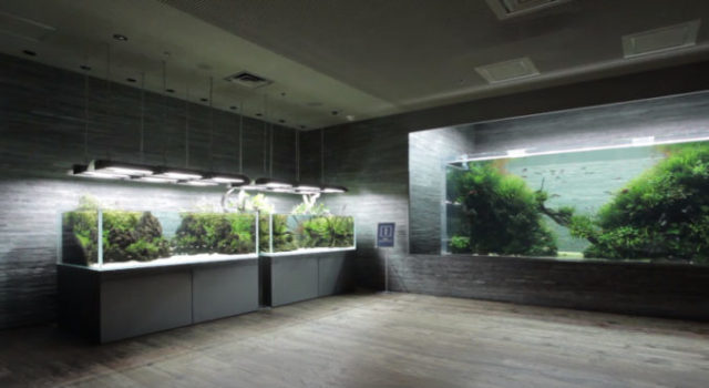 440020_sumida 676x370.jpg