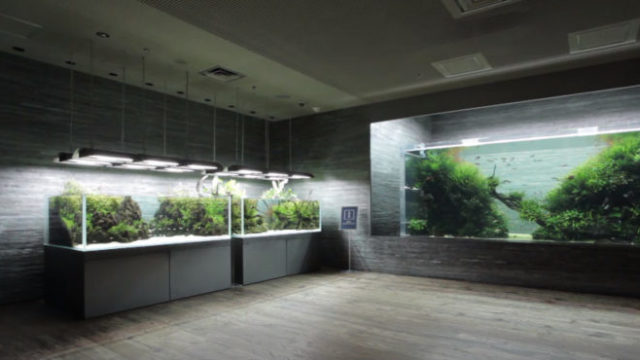 440020_sumida 676x370.jpg