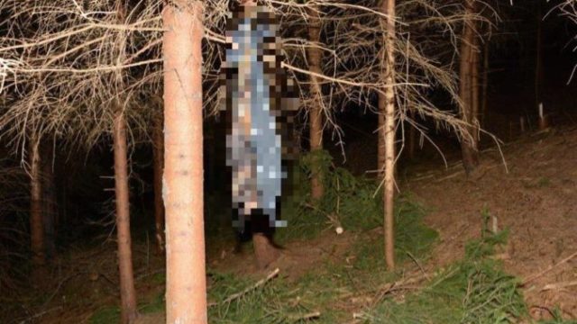 440219_no 676x451.jpg