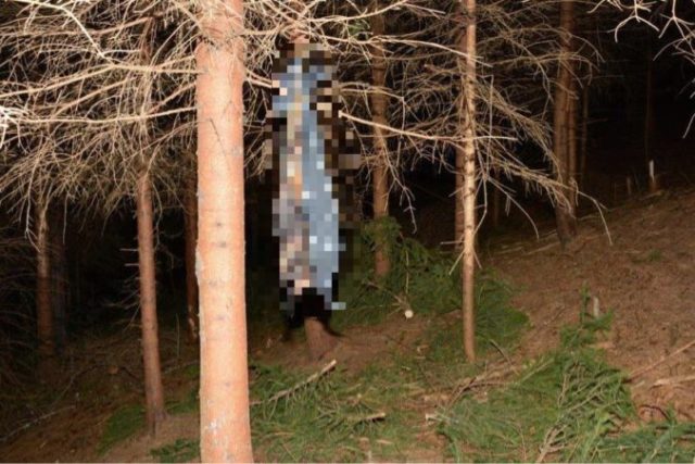 440219_no 676x451.jpg