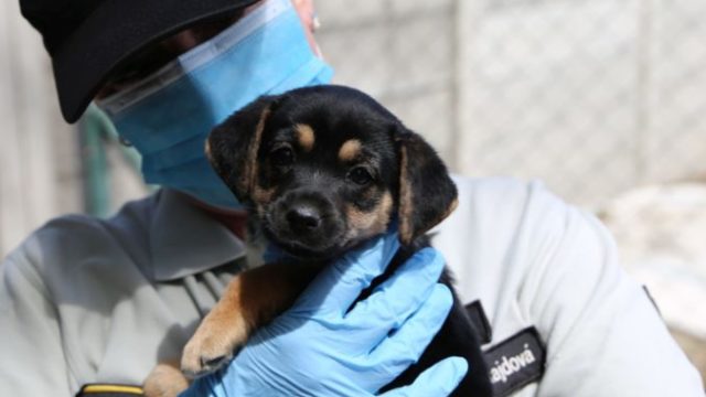 440484_96583214_672350499976624_2252536155763376128_o 676x451.jpg