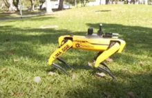440521_roboticky pes 676x440.jpg