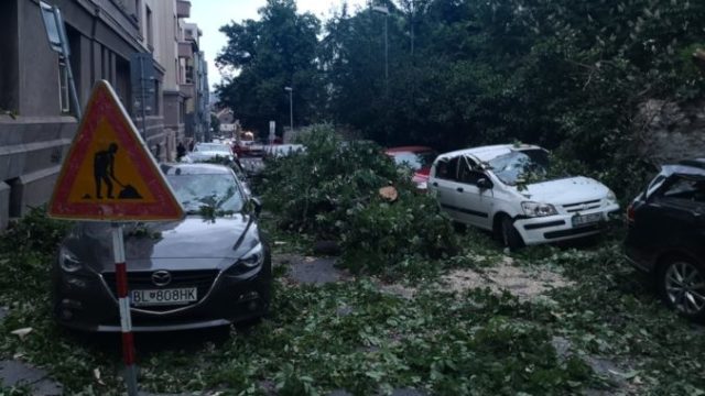 440534_rr8 676x507.jpg