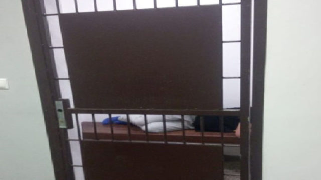 440542_g1 676x544.jpg