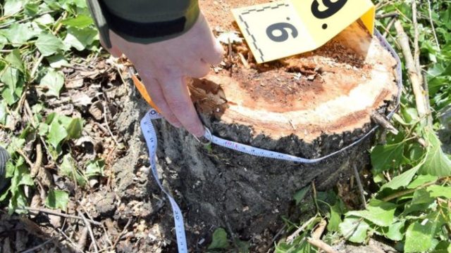 440627_96752845_619146208683365_8946929280051314688_o 676x451.jpg