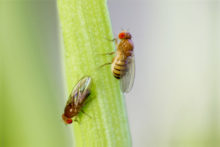 441039_gettyimages 602336454 676x451.jpg