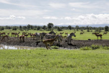 441111_virus_outbreak_virtual_safaris_18267 dfaf41c320b2488d9cd5c6b3a027a794 676x451.jpg