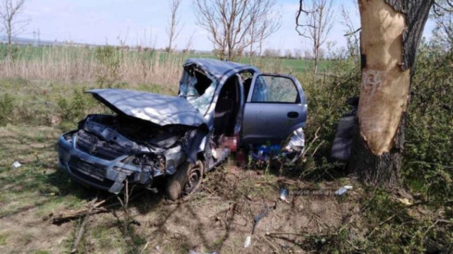 441205_ffr 676x475.jpg