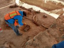 441270_mexico_mammoths_50964 633ab136851d407f8ce6d7032bda122a 676x507.jpg