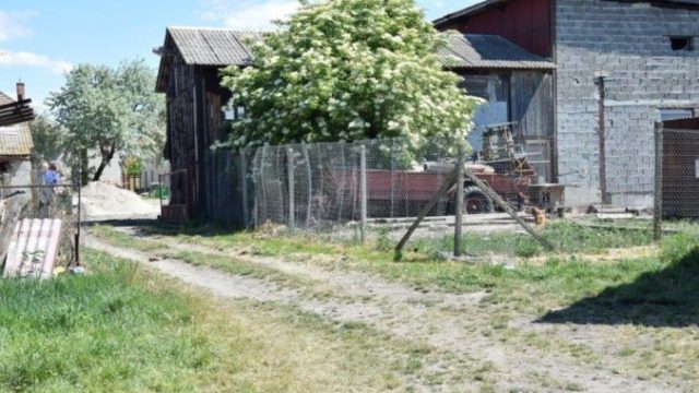 441358_ww1 676x451.jpg