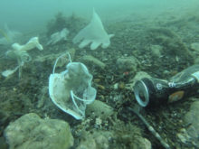 441527_virus_outbreak_france_sea_trash_74508 d409858dcb6d40dc96d1c5ebc5012a00 676x506.jpg