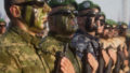 441754_croatia_military_parade e09d212283e7428a91efefd892903b3e 676x419.jpeg