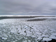 441933_antarctic_sea_ice_90996 f831c6ecbde74767b04c732c1a76592f 676x507.jpg