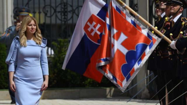 442586_06 5 676x516.jpg