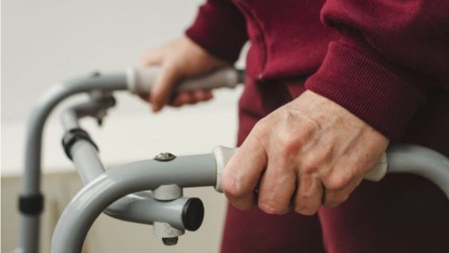 442661_de 676x446.jpg