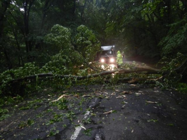 442815_104434667_2516815305100338_7898335676572047546_o 676x507.jpg