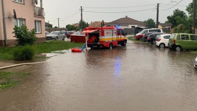 442847_nn 3 676x553.jpg