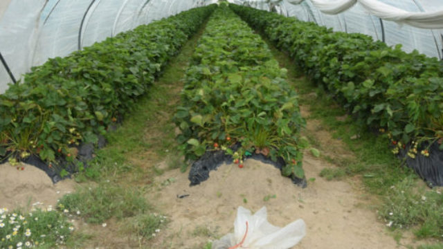 442862_mm 1 676x299.jpg