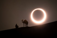 442923_gettyimages 1196120830 676x451.jpg