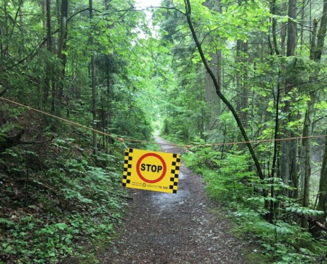 442952_104890369_3063308313757121_4809556252955815136_o e1592737372390 676x545.jpg