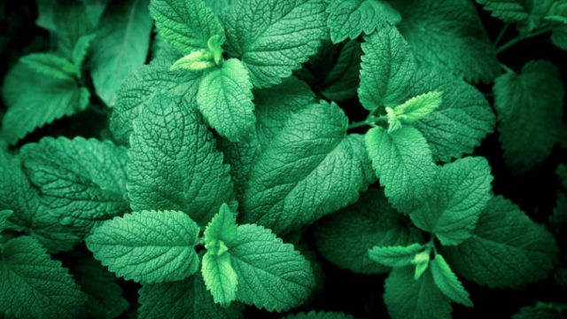 443086_gettyimages 1149188234 676x451.jpg