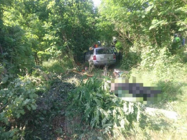 443131_bb 4 676x507.jpg