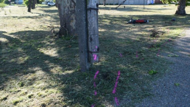 443217_ff1 676x471.jpg