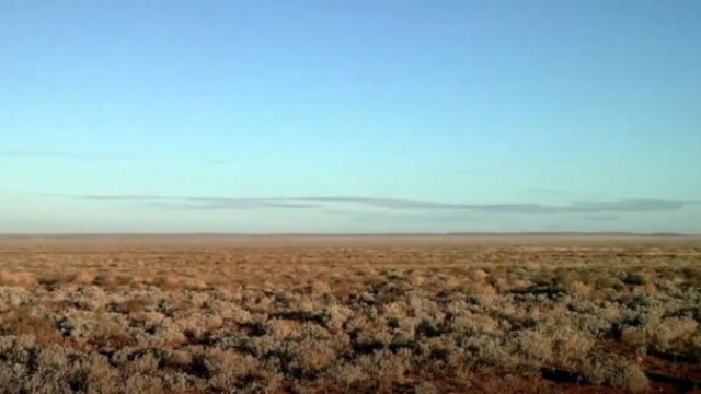 443399_park 676x341.jpg