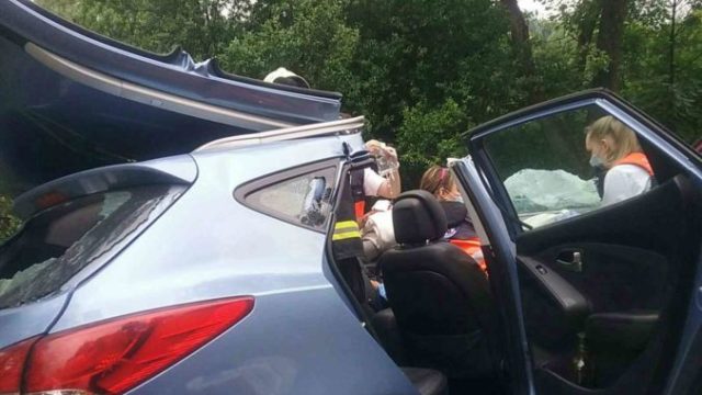 443460_gina 61306 20200629 162708 676x507.jpg