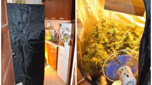 443686_106531232_959798844442646_6312823064910538291_n 676x504.jpg