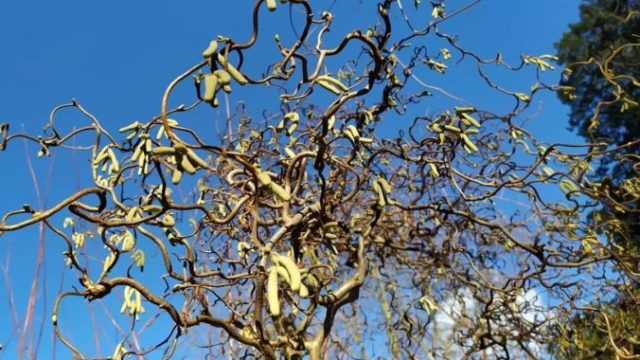 444223_84750251_123619379190948_8192907870992334848_o 676x451.jpg