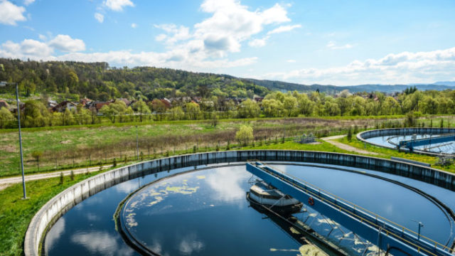 444273_cln_3165_upr 676x450.jpg