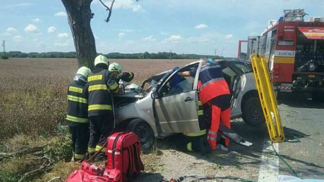 444345_02 676x507.jpg