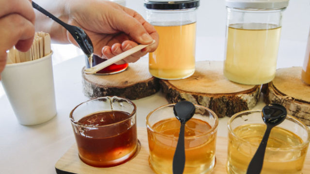 444412_medobranie_spp_3  676x451.jpg