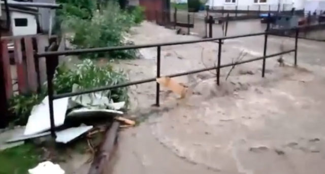 444524_untitled 1 1 676x362.jpg